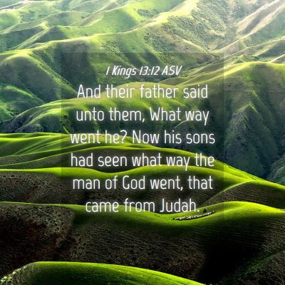 Picture 04 - 1 Kings 13:12 ASV - And their father said unto them, What way went - Bible Verse Picture