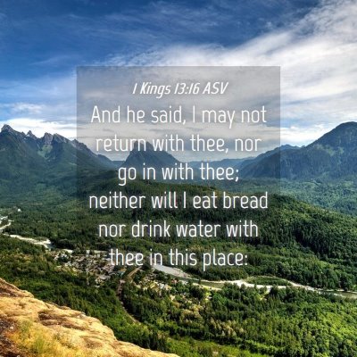 Picture 04 - 1 Kings 13:16 ASV - And he said, I may not return with thee, nor go - Bible Verse Picture