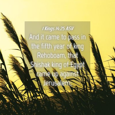 Picture 04 - 1 Kings 14:25 ASV - And it came to pass in the fifth year of king - Bible Verse Picture