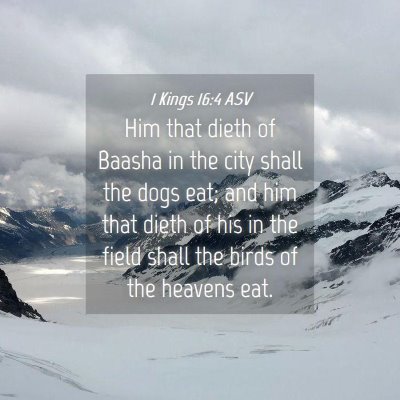 Picture 04 - 1 Kings 16:4 ASV - Him that dieth of Baasha in the city shall the - Bible Verse Picture