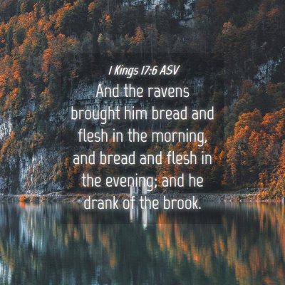 Picture 04 - 1 Kings 17:6 ASV - And the ravens brought him bread and flesh in the - Bible Verse Picture