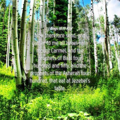 Picture 04 - 1 Kings 18:19 ASV - Now therefore send, and gather to me all Israel - Bible Verse Picture
