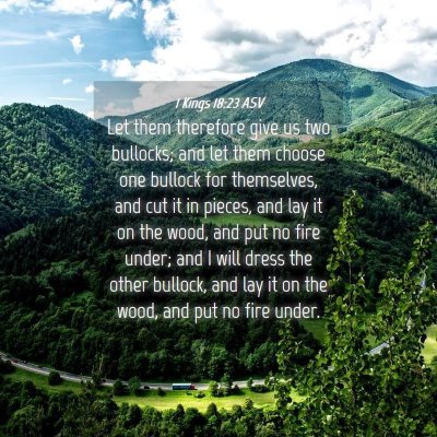 Picture 04 - 1 Kings 18:23 ASV - Let them therefore give us two bullocks; and let - Bible Verse Picture