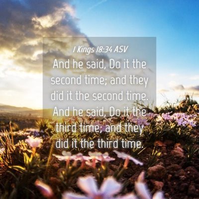 Picture 04 - 1 Kings 18:34 ASV - And he said, Do it the second time; and they did - Bible Verse Picture