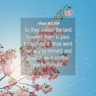 Picture 04 - 1 Kings 18:6 ASV - So they divided the land between them to pass - Bible Verse Picture