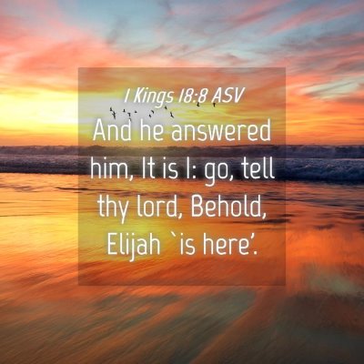 Picture 04 - 1 Kings 18:8 ASV - And he answered him, It is I: go, tell thy lord, - Bible Verse Picture