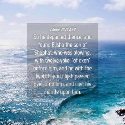 Picture 04 - 1 Kings 19:19 ASV - So he departed thence, and found Elisha the son - Bible Verse Picture
