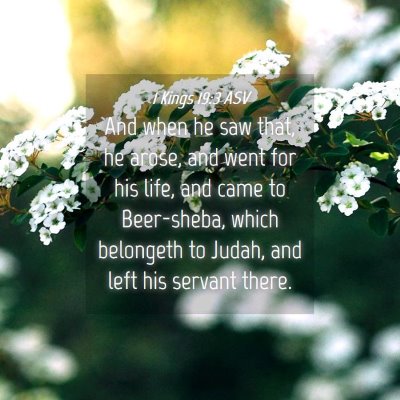 Picture 04 - 1 Kings 19:3 ASV - And when he saw that, he arose, and went for his - Bible Verse Picture