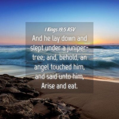 Picture 04 - 1 Kings 19:5 ASV - And he lay down and slept under a juniper-tree; - Bible Verse Picture