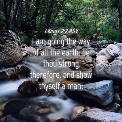 Picture 04 - 1 Kings 2:2 ASV - I am going the way of all the earth: be thou - Bible Verse Picture