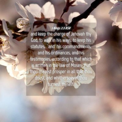 Picture 04 - 1 Kings 2:3 ASV - and keep the charge of Jehovah thy God, to walk - Bible Verse Picture