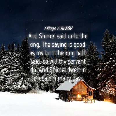 Picture 04 - 1 Kings 2:38 ASV - And Shimei said unto the king, The saying is - Bible Verse Picture