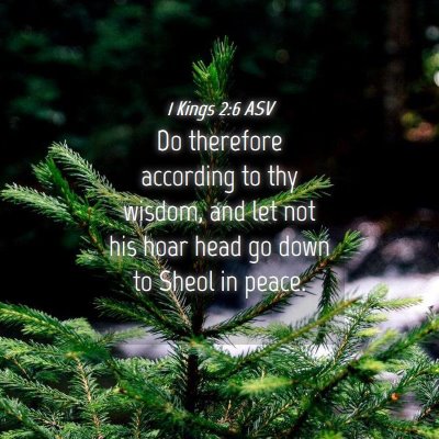 Picture 04 - 1 Kings 2:6 ASV - Do therefore according to thy wisdom, and let not - Bible Verse Picture