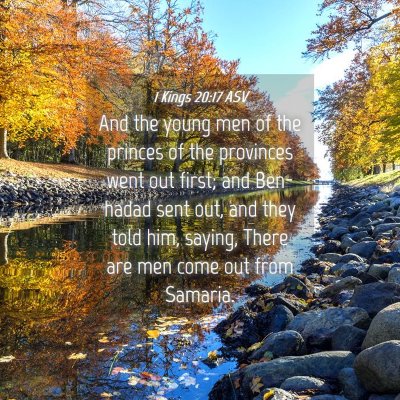 Picture 04 - 1 Kings 20:17 ASV - And the young men of the princes of the provinces - Bible Verse Picture