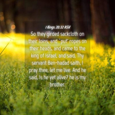 Picture 04 - 1 Kings 20:32 ASV - So they girded sackcloth on their loins, and - Bible Verse Picture