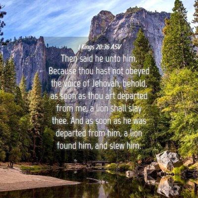 Picture 04 - 1 Kings 20:36 ASV - Then said he unto him, Because thou hast not - Bible Verse Picture