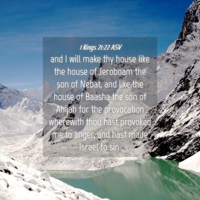 Picture 04 - 1 Kings 21:22 ASV - and I will make thy house like the house of - Bible Verse Picture