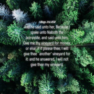 Picture 04 - 1 Kings 21:6 ASV - And he said unto her, Because I spake unto Naboth - Bible Verse Picture