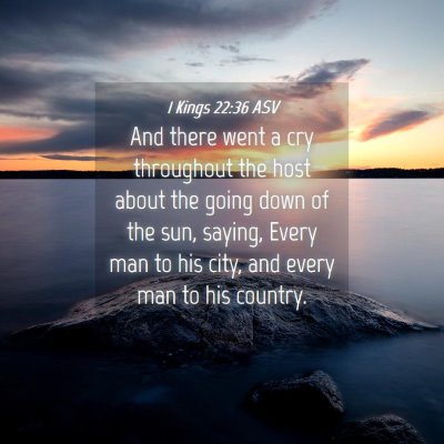 Picture 04 - 1 Kings 22:36 ASV - And there went a cry throughout the host about - Bible Verse Picture