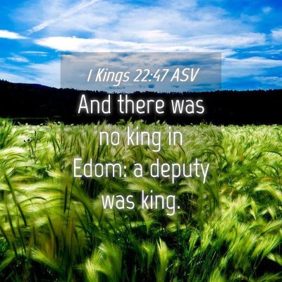 Picture 04 - 1 Kings 22:47 ASV - And there was no king in Edom: a deputy was - Bible Verse Picture