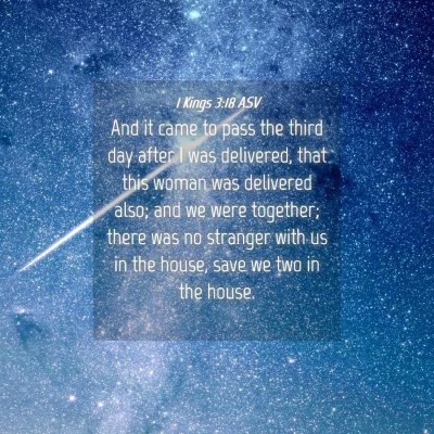 Picture 04 - 1 Kings 3:18 ASV - And it came to pass the third day after I was - Bible Verse Picture