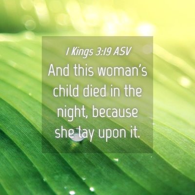 Picture 04 - 1 Kings 3:19 ASV - And this woman's child died in the night, because - Bible Verse Picture