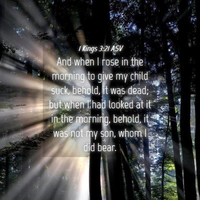 Picture 04 - 1 Kings 3:21 ASV - And when I rose in the morning to give my child - Bible Verse Picture