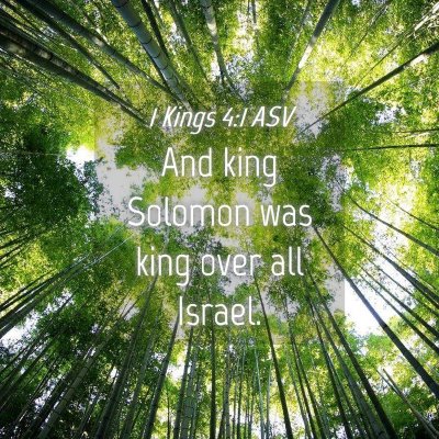Picture 04 - 1 Kings 4:1 ASV - And king Solomon was king over all - Bible Verse Picture