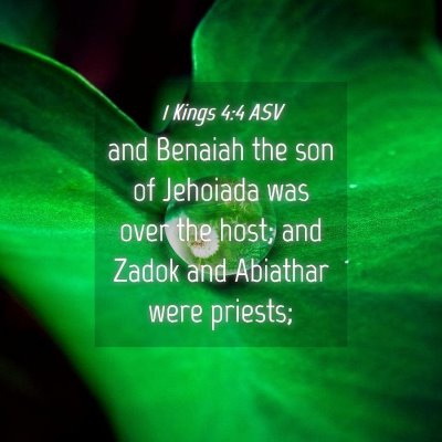 Picture 04 - 1 Kings 4:4 ASV - and Benaiah the son of Jehoiada was over the - Bible Verse Picture