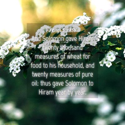 Picture 04 - 1 Kings 5:11 ASV - And Solomon gave Hiram twenty thousand measures - Bible Verse Picture