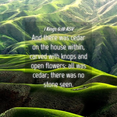 Picture 04 - 1 Kings 6:18 ASV - And there was cedar on the house within, carved - Bible Verse Picture