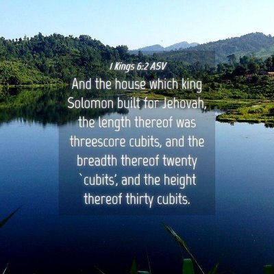 Picture 04 - 1 Kings 6:2 ASV - And the house which king Solomon built for - Bible Verse Picture