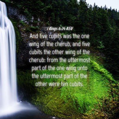 Picture 04 - 1 Kings 6:24 ASV - And five cubits was the one wing of the cherub, - Bible Verse Picture