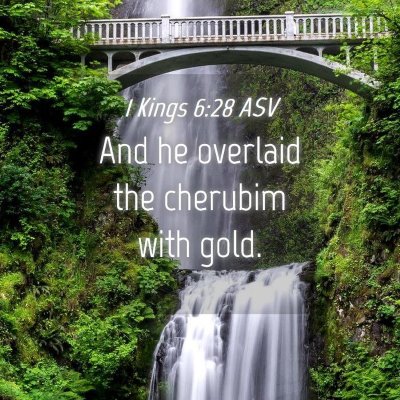 Picture 04 - 1 Kings 6:28 ASV - And he overlaid the cherubim with - Bible Verse Picture