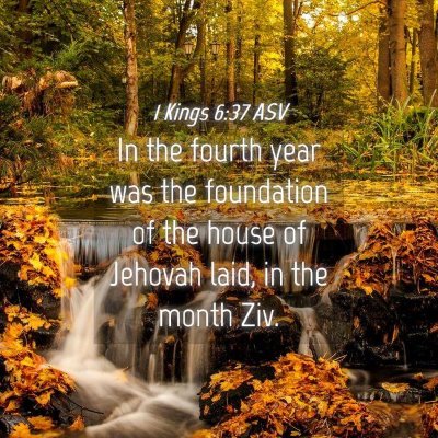 Picture 04 - 1 Kings 6:37 ASV - In the fourth year was the foundation of the - Bible Verse Picture
