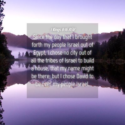 Picture 04 - 1 Kings 8:16 ASV - Since the day that I brought forth my people - Bible Verse Picture