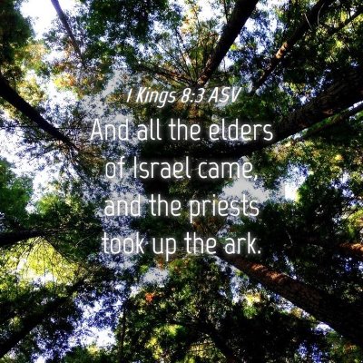 Picture 04 - 1 Kings 8:3 ASV - And all the elders of Israel came, and the - Bible Verse Picture