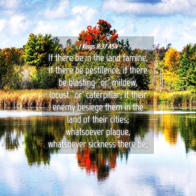 Picture 04 - 1 Kings 8:37 ASV - If there be in the land famine, if there be - Bible Verse Picture