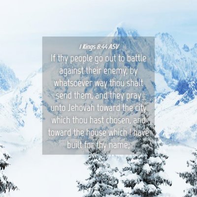 Picture 04 - 1 Kings 8:44 ASV - If thy people go out to battle against their - Bible Verse Picture