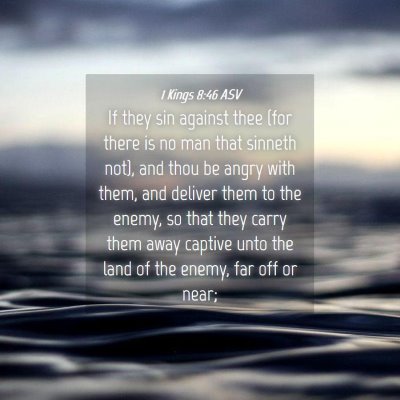 Picture 04 - 1 Kings 8:46 ASV - If they sin against thee (for there is no man - Bible Verse Picture