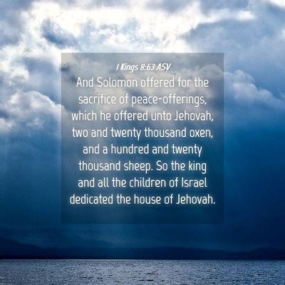 Picture 04 - 1 Kings 8:63 ASV - And Solomon offered for the sacrifice of - Bible Verse Picture