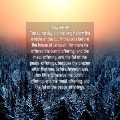 Picture 04 - 1 Kings 8:64 ASV - The same day did the king hallow the middle of - Bible Verse Picture