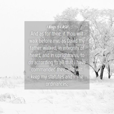 Picture 04 - 1 Kings 9:4 ASV - And as for thee, if thou wilt walk before me, as - Bible Verse Picture