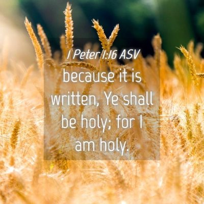 Picture 04 - 1 Peter 1:16 ASV - because it is written, Ye shall be holy; for I am - Bible Verse Picture