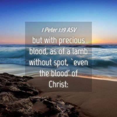 Picture 04 - 1 Peter 1:19 ASV - but with precious blood, as of a lamb without - Bible Verse Picture