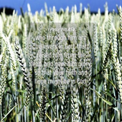 Picture 04 - 1 Peter 1:21 ASV - who through him are believers in God, that raised - Bible Verse Picture