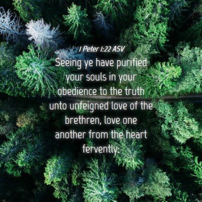 Picture 04 - 1 Peter 1:22 ASV - Seeing ye have purified your souls in your - Bible Verse Picture