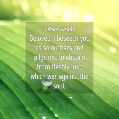 Picture 04 - 1 Peter 2:11 ASV - Beloved, I beseech you as sojourners and - Bible Verse Picture