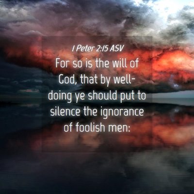 Picture 04 - 1 Peter 2:15 ASV - For so is the will of God, that by well-doing ye - Bible Verse Picture