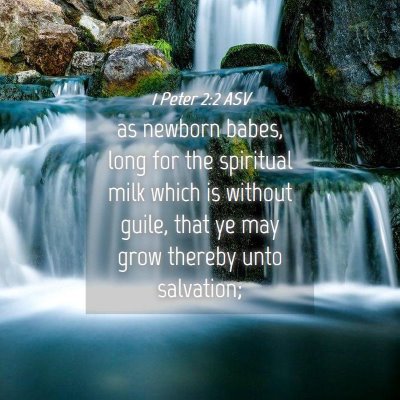 Picture 04 - 1 Peter 2:2 ASV - as newborn babes, long for the spiritual milk - Bible Verse Picture